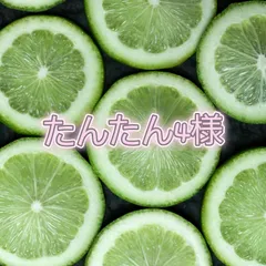 ブックカバー　たんたん4様