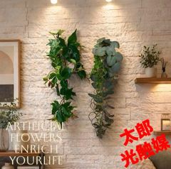 光触媒 人工観葉植物 ウォールグリーン フェイクグリーン コーヒー