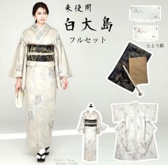 【新品、未使用】トールサイズ【正絹】本場大島紬訪問着【極上逸品】作家物フルセット 未着用 白大島 本場大島紬 フルセット 新品たとう紙付き トールサイズ