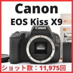 D12[7652]11☆極美品☆ キヤノン Canon EOS 7D ボディ 【ショット数 5
