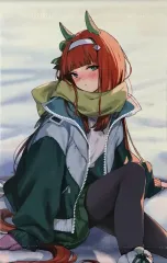 【中古】同人ポスター・タペストリー・カレンダー系 【ウマ娘 プリティーダービー】A4タペストリー サイレンススズカ(えみょ) C105/キャロットケーキ