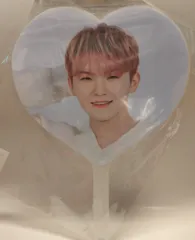 SEVENTEEN 2020 SEVENTEEN in Carat land WOOZI IMAGE PICKET
