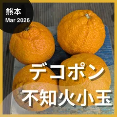 ★「不知火　小玉」9.6kg　48玉程度　熊本みかん　デコポンのサムネイル