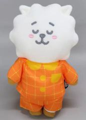 [중고] 봉제인형 [단품] RJ(진) 봉제인형 [BT21 2021 Summer Happy Bag(해피백)] LINE FRIENDS 온라인 스토어 하라주쿠 스토어 한정 동봉품