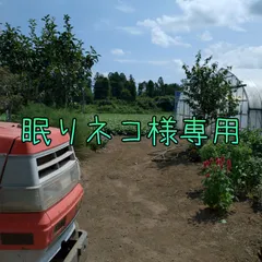 眠り猫様専用 H洗S