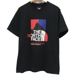 美品☆THE NORTH FACE 21SS 半袖 Tシャツ クルーネック カラコラム レンジ ティー K2グラフィック 帆布風 半袖Tシャツ