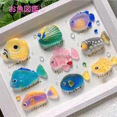 クーポンあり❣️熱帯魚図鑑❣️シーグラスアート　お魚立体図鑑　アクアリウム　海の生き物　水族館　海アート　釣り　海インテリア　ヒーリングアート