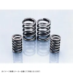 KITACO キタコ 303-1018000 強化バルブスプリングSETのサムネイル