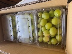 専用クール便 シャインマスカット 秀品7房 5キロ 4Lサイズ 長野県JA 