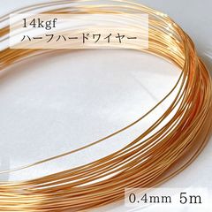 超特価 14kgf ハーフハードワイヤー 0.4mm 5m パーツ - メルカリ