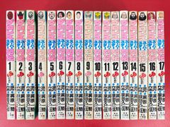 漫画コミック【プロレススーパースター列伝1-17巻・全巻完結セット