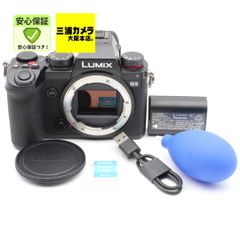 美品】LUMIX S5IIX ボディ 純正バッテリー2個 純正充電器付 元箱有