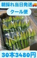 花ズッキーニ クール便 30本 3980円 - メルカリ