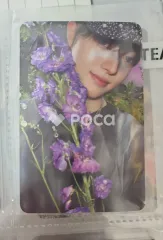 &TEAM ウィジュ Back to Life ROAR ver.