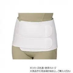 日本衛材 腰部固定帯 ウエストタイエース 1個　LL(90～100cm)・NE-584