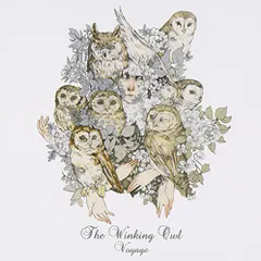 2026年最新】The Winking Owlの人気アイテム - メルカリ