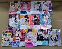 H26042604 BL漫画 まとめ売り 13冊セット ボーイズラブ 女性向け 商業