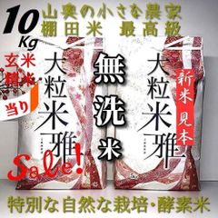 食品 「酵素米・希少」大粒 みつひかり 玄米20Kg「無洗米に精米」