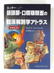2026年最新】口腔顎顔面解剖の人気アイテム - メルカリ