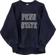 90s後期 Champion REVERSE WEAVE “PENN STATE” 刺繍タグ