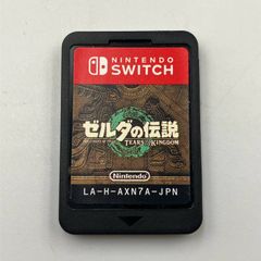 Nintendo Switch 젤다의 전설 TEARS OF THE KINGDOM 티어즈 오브 더 킹덤 닌텐도 스위치 M74
