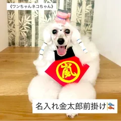 《犬猫用》金太郎名入れ前掛け⚠️注文ページ