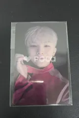 Seventeen ウジ セブチ HAPPY BURSTDAY ポップアップ ストア ラキドロ