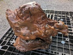自然木:根や幹のコブの置物で唯一無二の置物［重量/約6.3kg］ - メルカリ