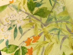 平和屋着物■上質な小紋　枝花文　暈し染め　正絹　逸品　CABF4118ev