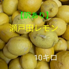 国産瀬戸田レモン10kg. ☆瀬戸田レモン☆ 10キロ(箱込み) 広島県産 産地直送 - メルカリ