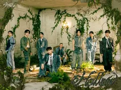 hollow FC盤 LeeKnow 新品未開封 ユニットトレカ 16枚セット Stray Kids Hollow FC限定リノ - メルカリ