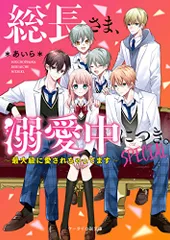 総長さま、溺愛中につき 。SPECIAL~最大級に愛されちゃってます~ (ケータイ小説文庫)／＊あいら＊