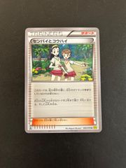 ポケカ センパイとコウハイ XY サポート 147/171 エクストラ - メルカリ