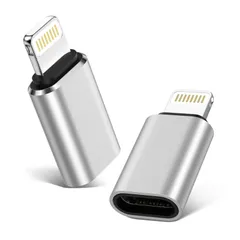 【人気商品】から ライトニング変換用アダプタ 2枚セット タイプC to C ライトニング変換アダプター PD充電&480Mbpsデータ転送(PC間のみ対応) 軽量小型 Type iOS usb-c lightning GAEF 変換アダプター iPhone1