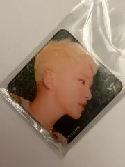 SEVENTEEN ホシ チョコレート マグネット