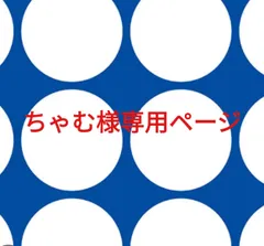 ちゃむ様専用ページです。