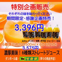 期間限定特売】みかんジュース1000ml×6本×2箱 濃縮還元してません