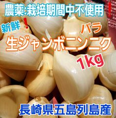 千葉県産 ジャンボニンニク1kg栽培期間中農薬不使用 - メルカリ