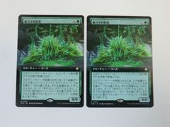 MTG 日本画 食糧補充 シルバースクロール・Foil ストリクスヘイヴンの