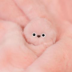 海外限定品 モンチッチ アニマルモンチッチ レオパード ヒョウ柄