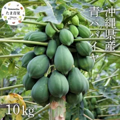2026年最新】青パパイヤ10kgの人気アイテム - メルカリ