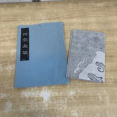 △01)【1点限り!】【除籍本】世界ステンドグラス文化図鑑/ヴァージニア
