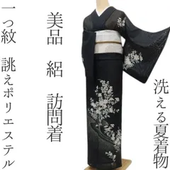 洗える絽の訪問着 2026年最新】洗える 絽 訪問着の人気アイテム - メルカリ