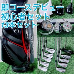 ゴルフクラブ フルセット テーラーメイド入り 即コースデビュー B3850