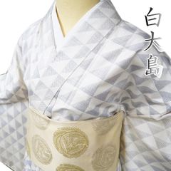 極上の夏着物 正絹 生紬 証紙あり ￼着用の帯プレゼント - メルカリ