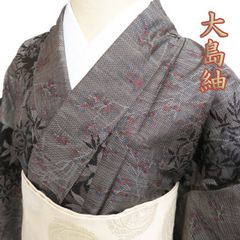 紬(単衣) (越後大島 織出しアラベスク文様 身幅広め 黒×茶系×赤