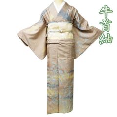 紗 夏着物 伊藤若冲 貝図 洗える着物 - メルカリ