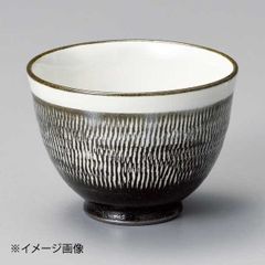 どんぐり 500個 2月採取 水洗い 煮沸処理 陰干し 砲弾型 磨き 即日発送