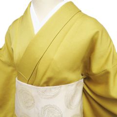 夏着物 絽の色無地 縫い紋 ガード加工済み - メルカリ