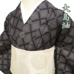 裄長め☆夏着物 夏大島紬 菊文様が綺麗 古典柄 - メルカリ